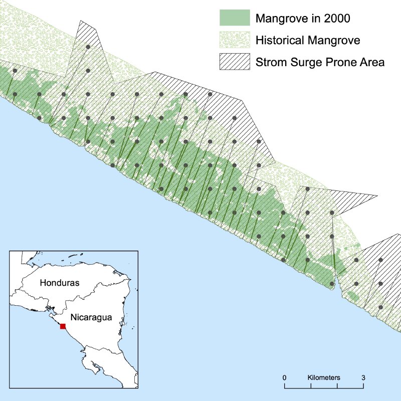 Figure from Mangroves Protect Coastal Economic Activity from Hurricanes